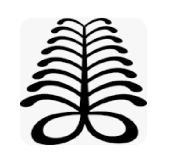 B2C3A569-DEAC-4F89-A1DE-3FE37C25E337