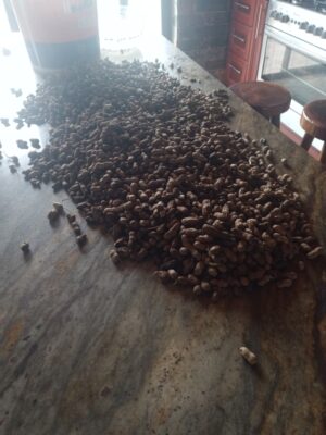 38ff392f-1566-4540-976f-c5e75097b88b