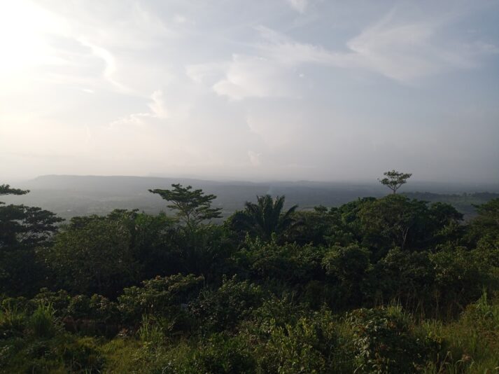 0f2bd58a-2f63-4245-9b99-bde9a3c0e8f2