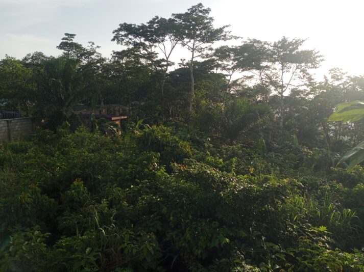 f92b2aa8-f0c5-4c7b-863e-c64b18b2dd1a