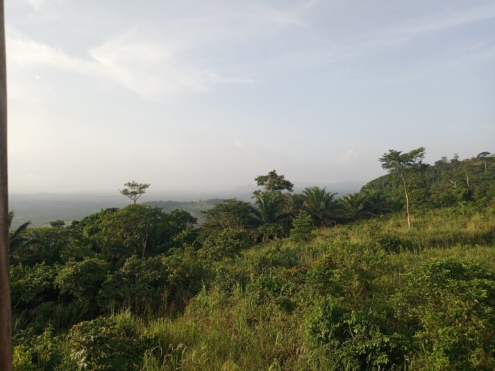 9bcfa8d1-1bfc-4448-8aab-d89f1bbf8280