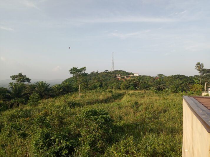 7aaf99af-46a9-4738-a207-97a19b9798a5