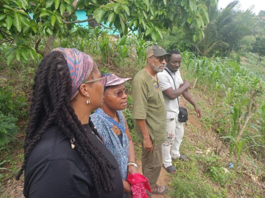 9d5645d8-bfa7-478e-a714-6970392213d6