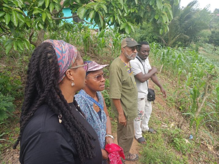 9d5645d8-bfa7-478e-a714-6970392213d6