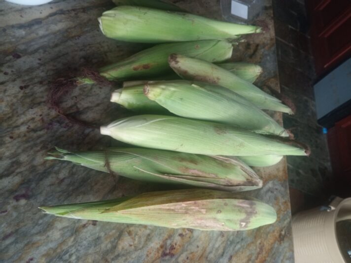 IMG_20250607_115042_435