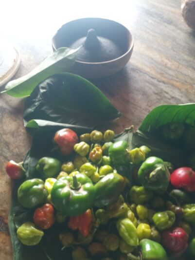 206ffa21-cf80-461b-8e88-42a26808155f