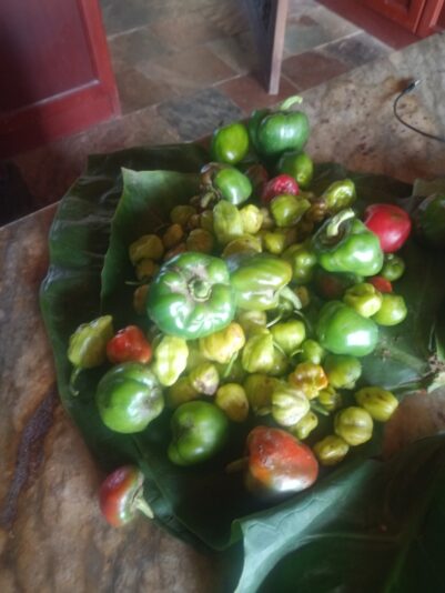 bd18212a-8479-4a95-b12c-ec71144e9af7