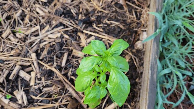 06-15-2025_Abibitumi_Tour_1-1