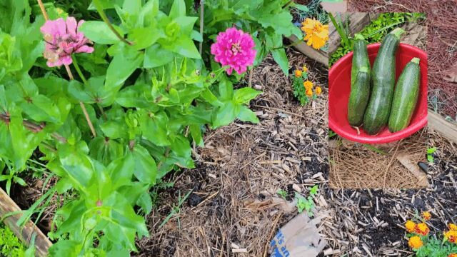 06-15-2025_Abibitumi_Tour_2-1