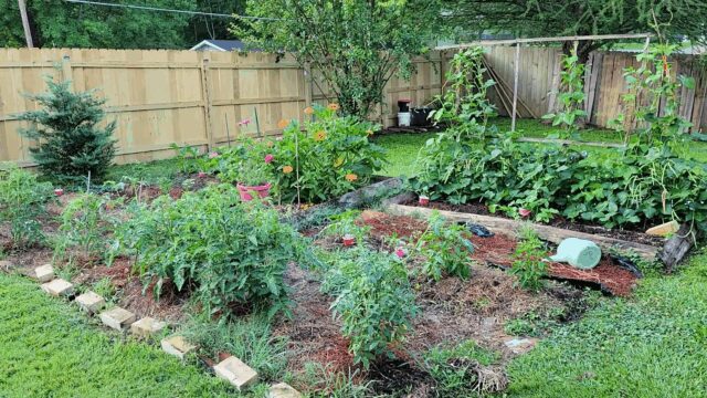 06-15-2025_Abibitumi_Tour_4-1