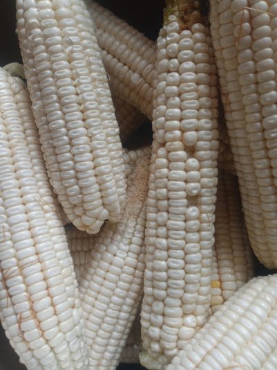 689000a7-f1a6-41af-8dc6-31fa19bc836f