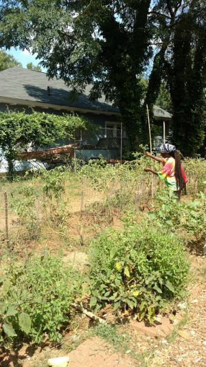 NJIDEKA WORKING IN OMENALA GARDEN SUMMER 2018