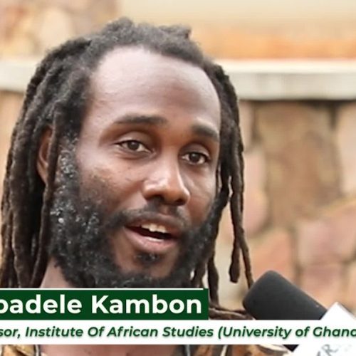 Ɔbenfo Ọbádélé Kambon on the Legacy of Nelson Mandela
