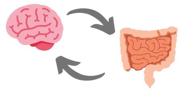 Gut Brain Axis