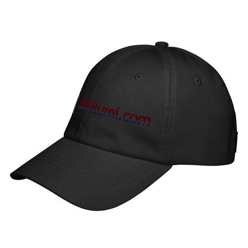 Abibitumi.com Hat - Image 2