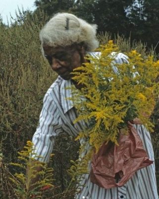 a78813b0-1b2c-4c63-bc51-b7403d305938