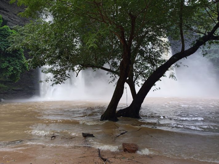 IMG_20230710_165446_538