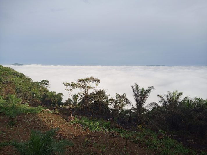 IMG_20230428_064901_112