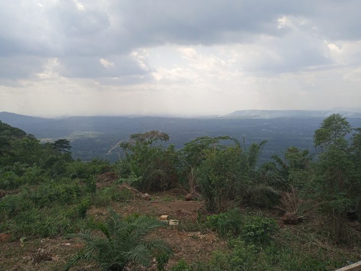 IMG_20230313_141259_262