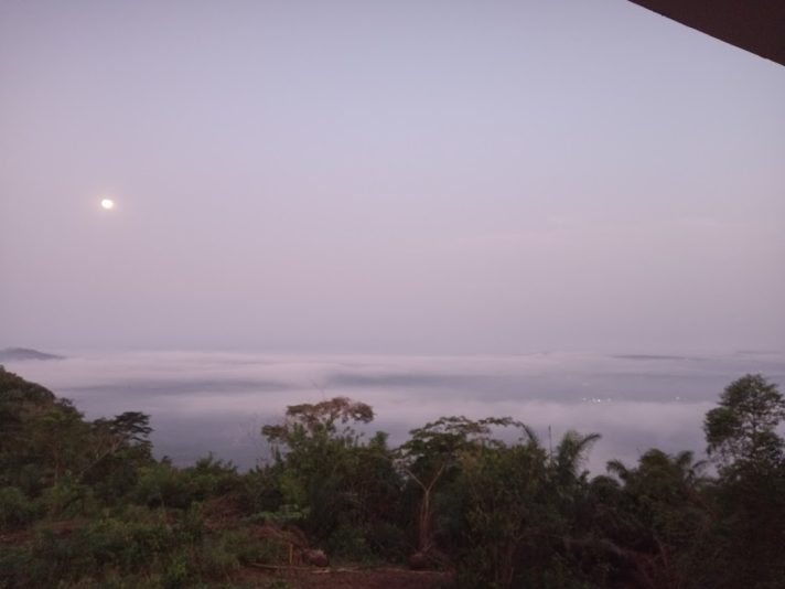 IMG_20230308_055800_526