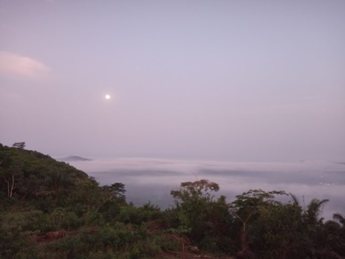 IMG_20230308_055755_444