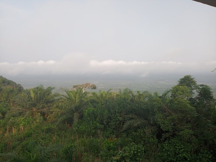 IMG_20230209_073738_781