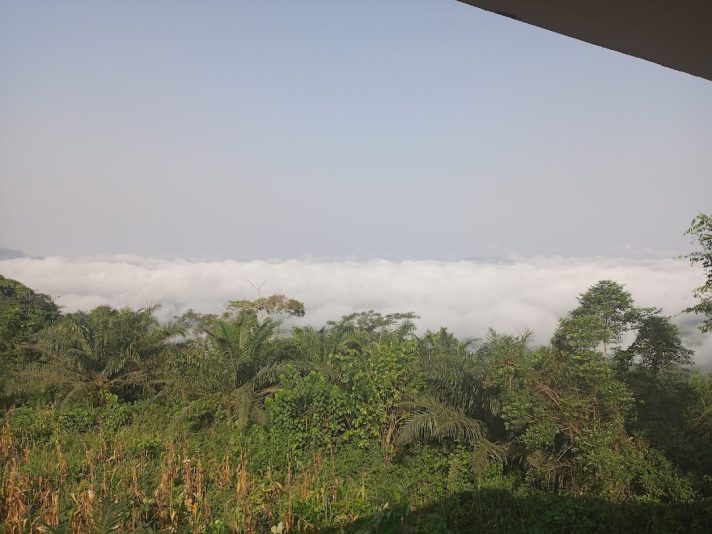 IMG_20221221_082630_952