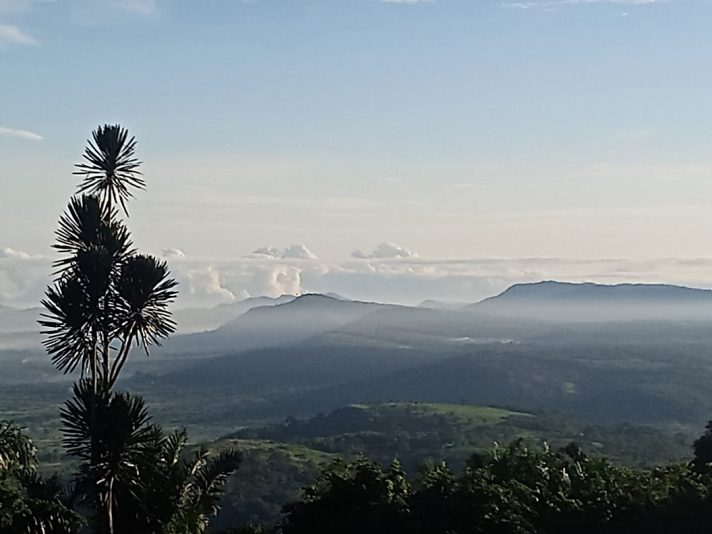 cp76dhnltvmh20l4114c-scaled