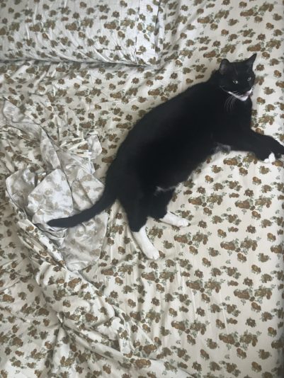 37538568-6FC9-411D-9B22-EFAC6A271E47