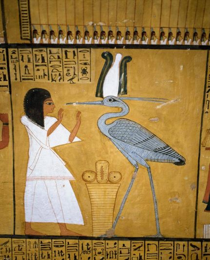 4477CAAD-71D9-4720-BDA0-B2BF335A1668