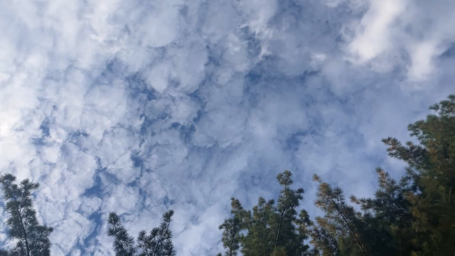 CB779EEF-8217-4EDE-8C3B-048FCB4AC70D