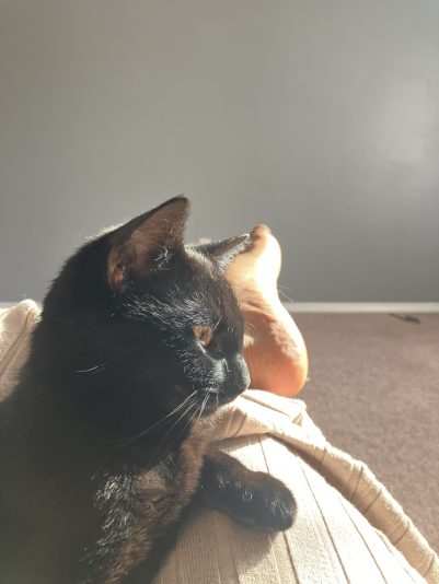 16FF4897-21D2-41E9-9783-91CBD46D8FD9