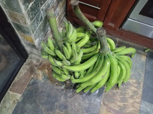 470e5962-1fd0-4ddd-9ed4-b95607c38084