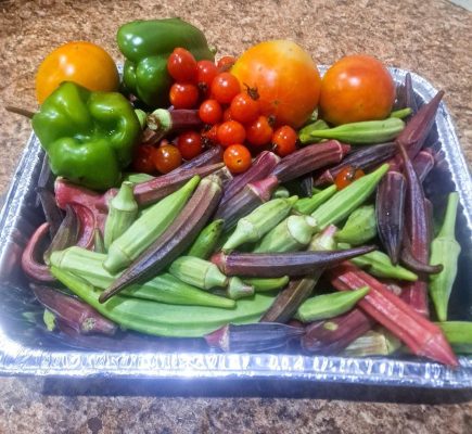 362268026_685573106943405_5646813986505148437_n