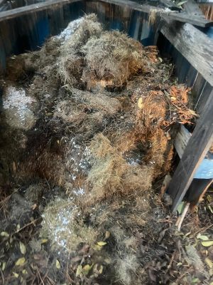 WhatsApp Image 2025-10-31 at 8.41.03 PM (1)