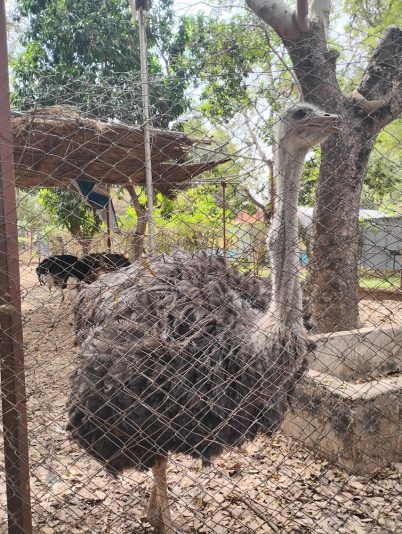 IMG_20251108_113223423_HDR