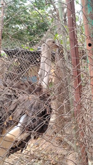 IMG_20251108_113102973