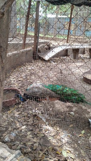 IMG_20251108_113007506