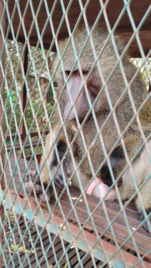 IMG_20251108_112049932