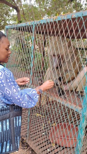 IMG_20251108_112031210