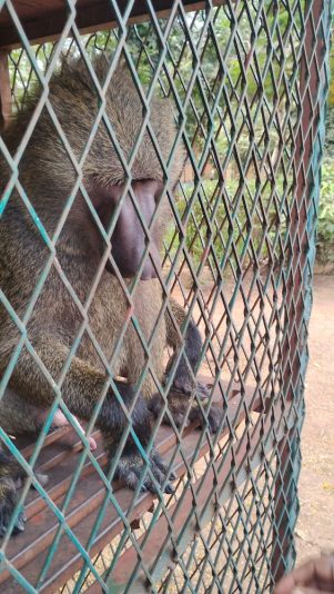 IMG_20251108_111916858