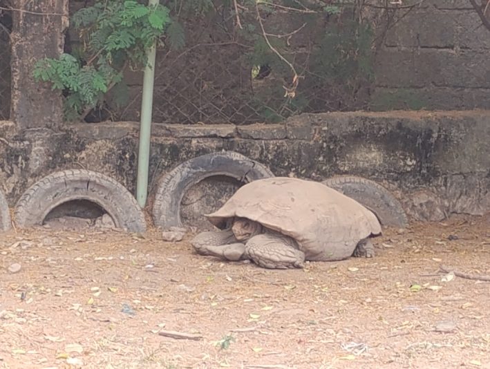 IMG_20251108_111711732