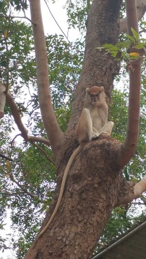 IMG_20251108_111525770