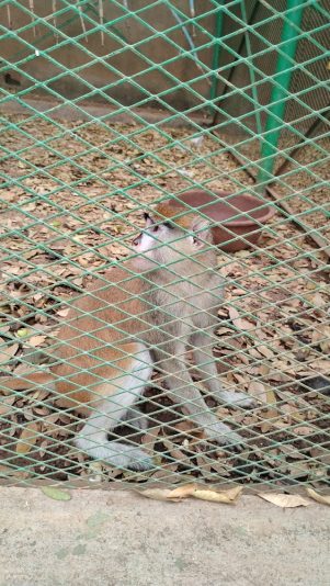 IMG_20251108_111425866