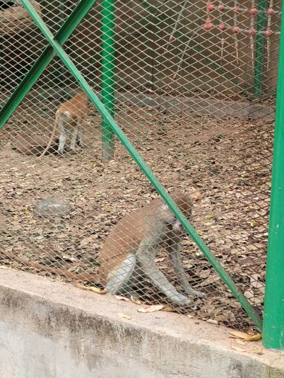 IMG_20251108_111402567