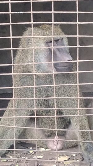 IMG_20251108_111109186