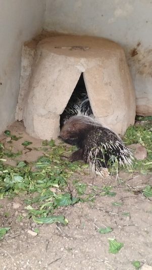 IMG_20251108_110849016