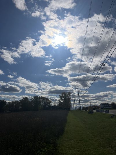 26AC6665-4A50-430E-B8D9-A3A322E1A903