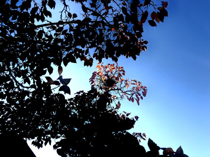 21982435-98D0-433B-A94B-1A0594268128