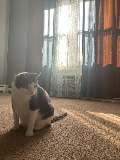 6496B2A8-B474-44EB-9654-6E12494F30C2